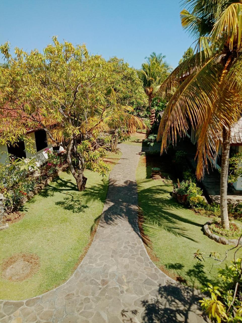 Rini Hotel Lovina  Exterior photo