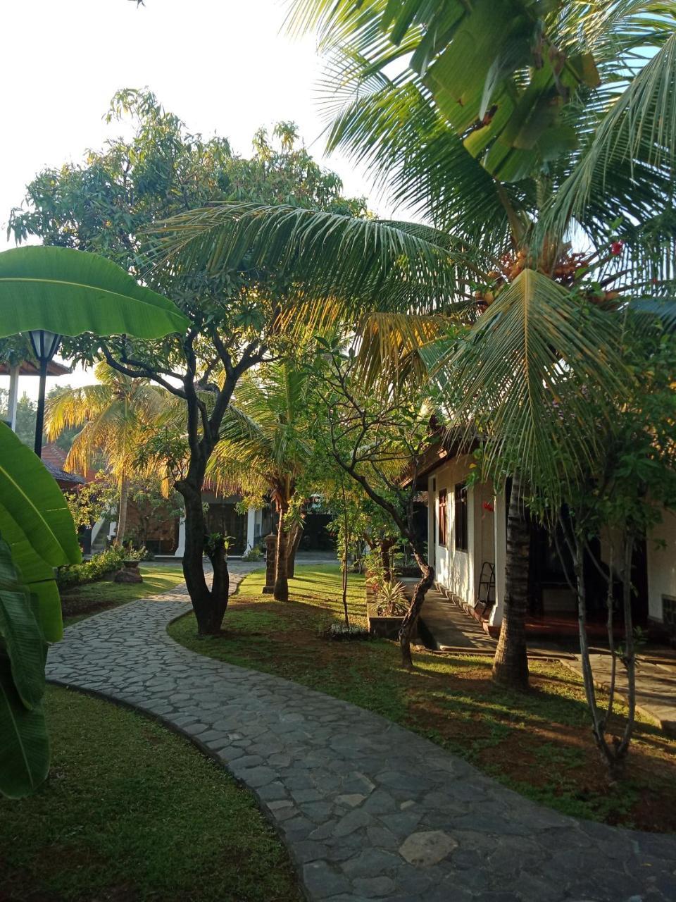 Rini Hotel Lovina  Exterior photo