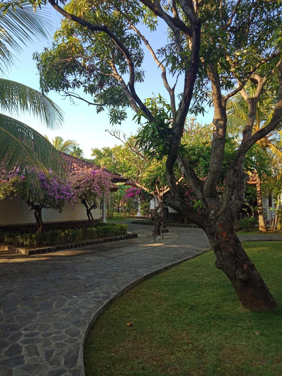 Rini Hotel Lovina  Exterior photo