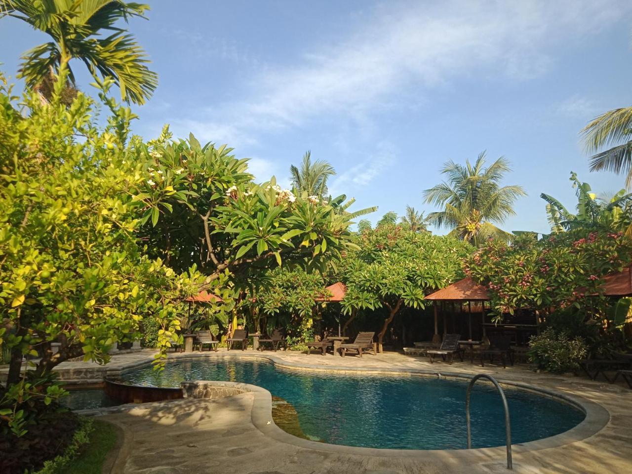 Rini Hotel Lovina  Exterior photo